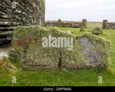 Reindeer moss on old grave sotnes next to Kilnave Chapel on Loch Gruinart, Islay, Scotland, UK, that was built around late 1300's. Stock Photo