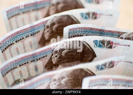 Cairo, Egypt, 6 March 2024. Egyptian pound banknotes. Credit: Dimitris Aspiotis/Alamy Live News Stock Photo