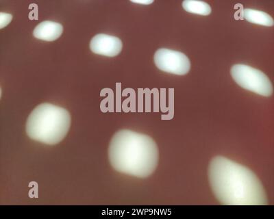 Red background with polka dots. Rays of the sun shining through the holes in the blinds and painting light blurry circles on the colored surface Stock Photo