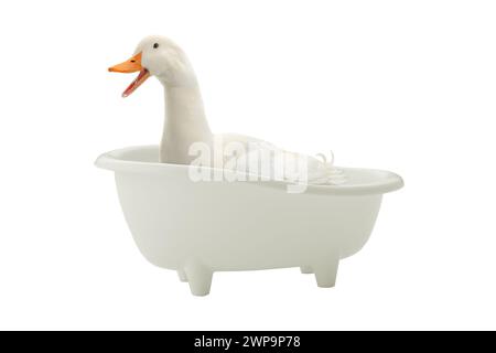 duck bathes in bathroom on a white background Stock Photo