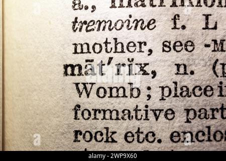 Word matrix on dictionary page, macro close-up Stock Photo