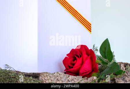 Red rose on the bark of a tree and a blank page in the background and a ribbon with the flag of Catalonia Stock Photo