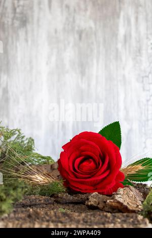 Vertical card of a red rose on the bark of a tree. Gray background Stock Photo