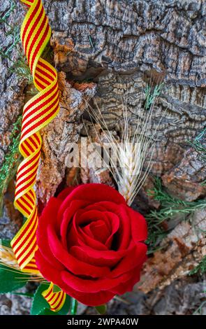 Red rose on the bark of a tree with a beautiful ribbon with the flag of Catalonia Stock Photo