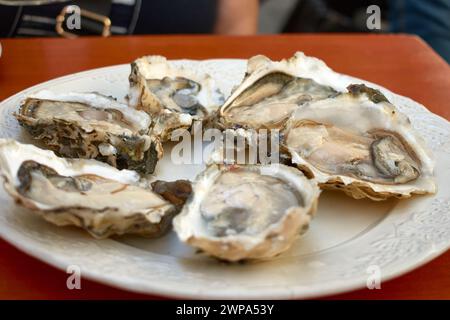 Plate of oysters in close-up on a freshly opened plate Stock Photo