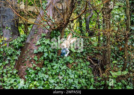 Cute toy bunny rabbit characters in woodland settings amongst snowdrops and daffodils. Great for easter or children's books or pictures. Stock Photo