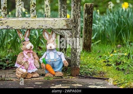 Cute toy bunny rabbit characters in woodland settings amongst snowdrops and daffodils. Great for easter or children's books or pictures. Stock Photo