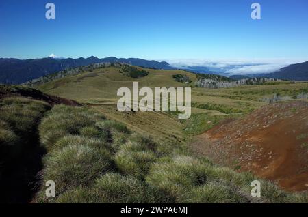 Nature of Patagonia, Hills covered with grass, smal ravine on mountainside of volcano Puyehue in Puyehue National Park, Los Lagos Region, Chile. Snow- Stock Photo