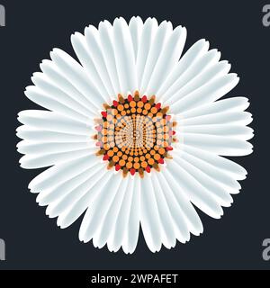 White flower, Royalty-free vector illustration stock photo | Ģ����ý Stock Vector
