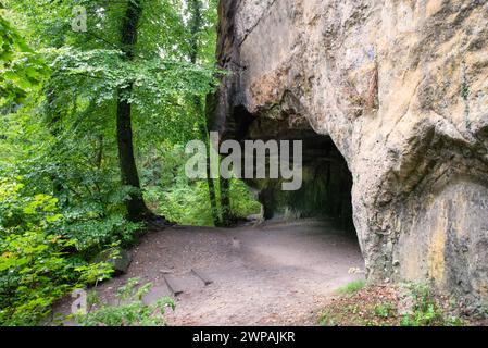 Huel Lee or Hohllay on the Mullerthal trail in Luxembourg, open cave with view to the forest, sandstone rock formation Stock Photo