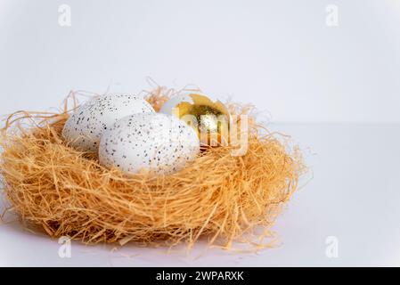 Nest with Easter eggs on white table. Selective focus. Stock Photo