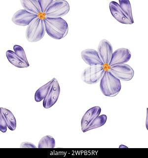 Watercolor seamless pattern with purple blooming crocus flower isolated on background. Spring and easter botanical hand painted saffron illustration. Stock Photo