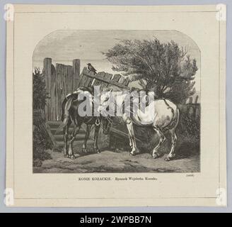 Cossack horses; from: 'Kłosy', 1873 (I) 348; Kossak, Wojciech (1856-1942), Boulay, Ernest (Fl. 1872-1875), Kłosy (Warsaw; magazine; 1865-1890); 1873 (1873-00-00-1873-00-00); Stock Photo