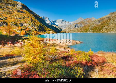 autumn colours at Lac d'Emosson in the Valais mountains, Switzerland, Valais, Unterwallis Stock Photo