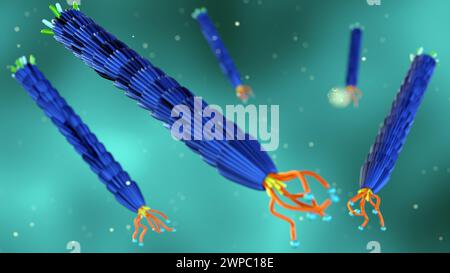 3d rendering of filamentous bacteriophage M13 Stock Photo