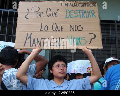 Lima, Peru. 06th Mar, 2024. 'Why destroy what keeps us alive' can be read on a sign when dozens of demonstrators and environmentalists protest in front of the Peruvian Congress, for the recent modifications to the forestry law that would facilitate the deforestation of the Amazon and illegal logging Credit: Fotoholica Press Agency/Alamy Live News Stock Photo