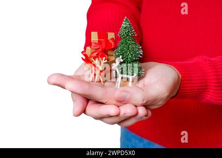 Close-up view of male hands holding a miniature holiday composition made of a tiny Christmas tree, reindeers and wrapped gift boxes, set against a whi Stock Photo