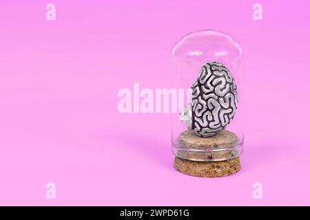 Anatomical steel model of a human brain encased in a glass vial isolated on serene pink background. Delicate nature of the mind. Stock Photo