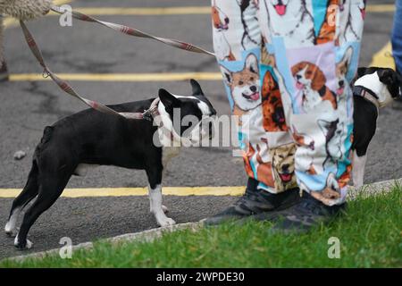 Dogs and owners arrive on the first day of the Crufts Dog Show at the ...