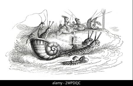 Anthropomorphic animals. snail race. humanized cyborg animals. CRISPR. CAS9. Aliens. hand drawn vintage illustration. cartoon and humor. Stock Photo