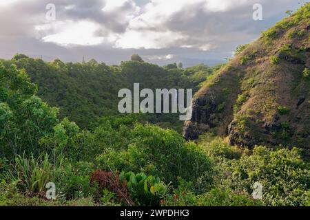 The Opaekaa Falls, a scenic waterfall in Wailua River State Park, Kauai, Hawaii, USA Stock Photo