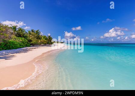 Beautiful beach and tropical sea. Wonderful beach nature, Maldives scenery, perfect view of exotic landscape, white sand and blue sky. Luxury travel Stock Photo