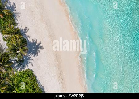 Aerial landscape view of tropical summer palm trees shadows on sandy coast ocean waves splash crash. Beautiful top view sunny sea coast exotic amazing Stock Photo