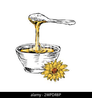 Honey in cup and flower hand drawn sketch in color. Vector illustration can used for wrapping paper, label, poster, cards. Engraved or ink vector hone Stock Vector