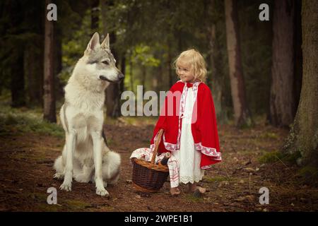 Little red riding hood with basket of food met wolf in deep forest Stock Photo