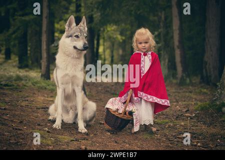 Little red riding hood with basket of food met wolf in deep forest Stock Photo