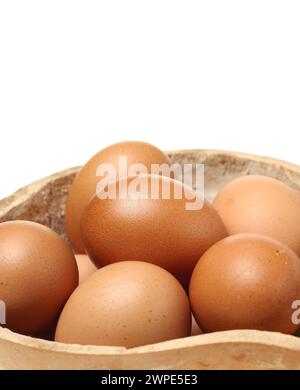 Egg collection isolated on white background Stock Photo
