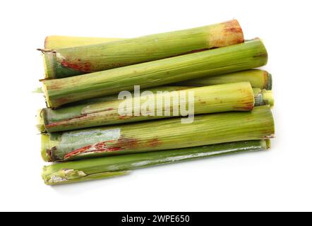 Stalks of mature sorghum on white background Stock Photo