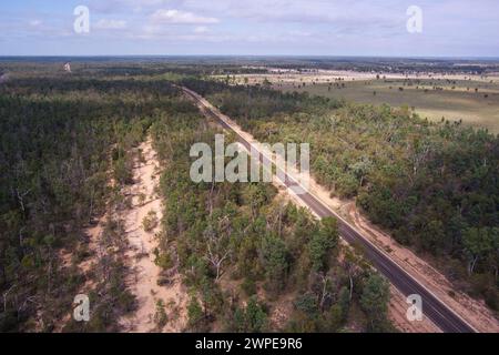 Old Corduroy Road, youg saplings of Cyprus Pine where laid down in wet and boggy areas to form a base for Cobb & Co Stage Coach between Surat and Yule Stock Photo