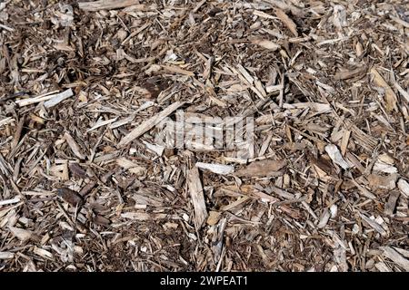Woodchips for mulching gardens, UK Stock Photo