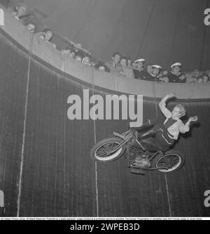 Wall of death 1952. The wall of death, motordrome, velodrome or well of death is a carnival sideshow featuring a silo- or barrel-shaped wooden cylinder, typically ranging from 20 to 36 feet (6.1 to 11.0 m) in diameter and made of wooden planks, inside which motorcyclists travel along the vertical wall and perform stunts, held in place by friction and centrifugal force. The original wall of death was in 1911 on Coney Island in the United States. Pictured a motorcyclist in high speed in the velodrome, showing off, with his hands in the air, not on the handlebars as he should.  Picture Eva Lööw. Stock Photo