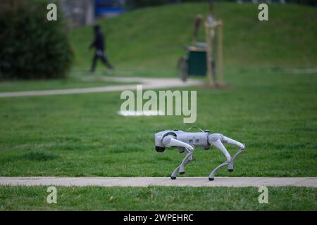 Notum Robotics Robot dog owned by Milan Rajcevic, owner and director of the company ...
