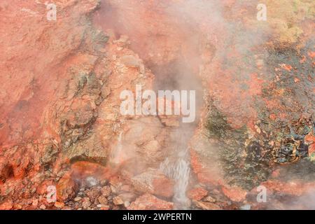 Geothermal hot springs with steam, colorful mineral deposits and living moss on rocks. Location: Deildartunguhver, the Largest Hot Springs in Europe. Stock Photo