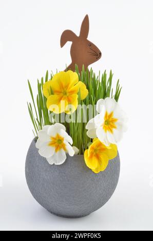 Easter bunny and primorse with grass in pot. Stock Photo