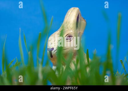 chocolate easter bunny in the grass Stock Photo
