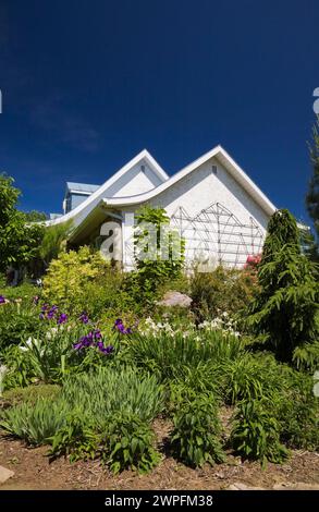 Border planted with purple and white Iris flowers, Picea abies pendula - Spruce tree and shrubs in backyard country garden in spring. Stock Photo