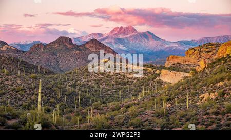 Four Peaks Mountain in Sonoran Desert with scattered saguaros at dusk, Arizona. Stock Photo