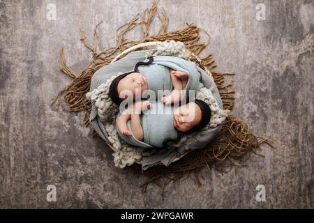 Twin babies, twin baby boys, infant twin boy newborn photos. Stock Photo