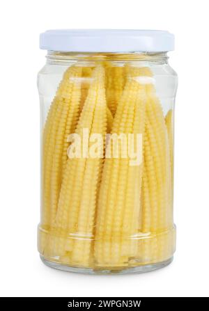 Jar of pickled young baby corn cobs isolated on white background Top view. Flat lay Stock Photo