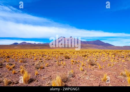 Cerro Miniques (Miniques hill) in the Altiplano (high Andean Plateau), Los Flamencos National Reserve, Atacama desert, Antofagasta Region, Chile, Sout Stock Photo