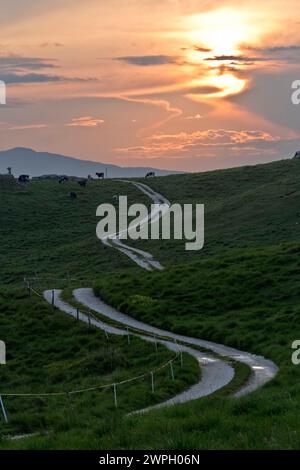 Serpentines on the road of Malga Folignano di Mezzo among the pastures of Lessinia. Bosco Chiesanuova, Veneto, Italy. Stock Photo