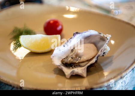 Single oyster on the half shell garnished with lemon, dill and tomato Stock Photo