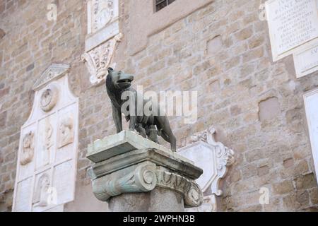 Rome, Italy - February 4, 2024 : Capitoline Wolf statue outdoors, low angle view Stock Photo