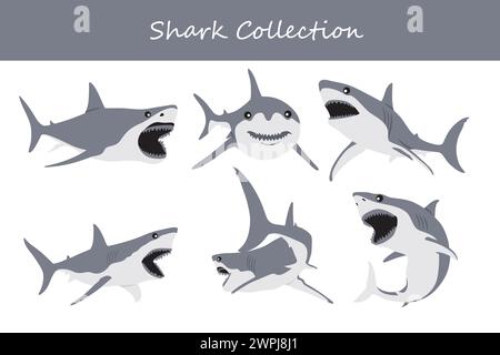Shark collection. Vector illustration of a shark in different poses. Stock Vector