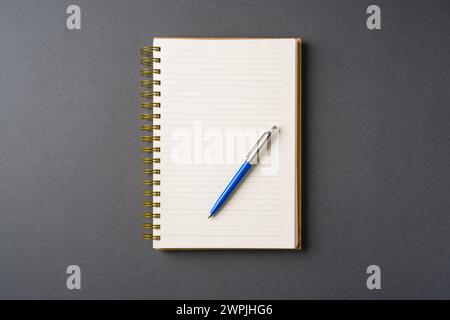 Ballpoint pen made of blue plastic and metal standing on lined notebook Stock Photo