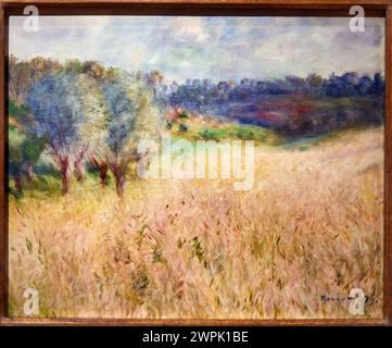 'Wheatfield'', 1879, Pierre-Auguste Renoir (1841-1919), Thyssen Bornemisza Museum, Madrid, Spain, Europe Stock Photo